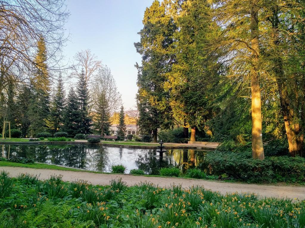 Hotel Eden Am Kurpark Bonn Exteriör bild